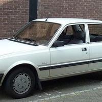 Parabrezza Peugeot 505 (1979 - 1989)
