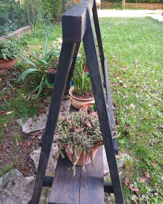 scaffale per fiori/libri 
