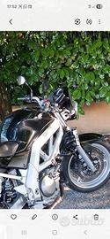 moto Suzuki 