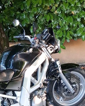 moto Suzuki 