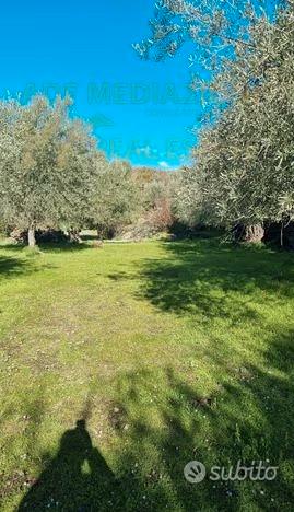Terreno Agricolo A Ragalna - Vista 3