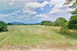 Terreno di 13770 m² a Campi Bisenzio