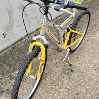 Bici/Bicicletta Mountan bike