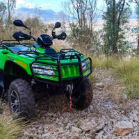 Quad Arctic Cat 1000 4x4 