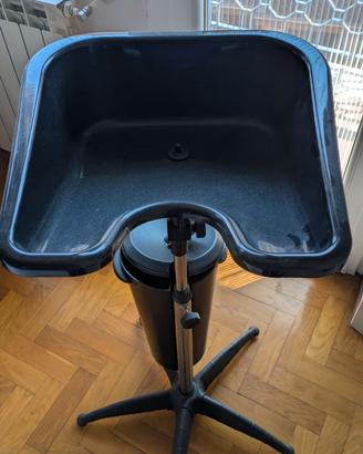 Lavatesta portatile professionale a piede