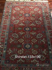 Tappeto Shirwan orientale