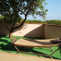 A cirella di diamante 10 pl con giardino