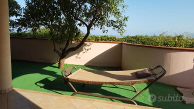 A cirella di diamante 10 pl con giardino