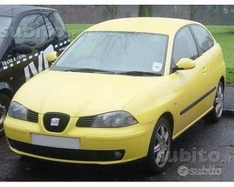 Parabrezza Seat Ibiza (2002-2009)