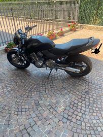 Honda hornet 600