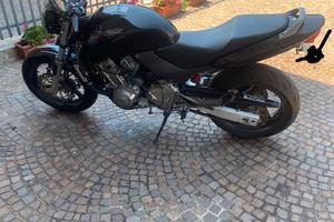 Honda hornet 600