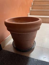 Vasi terracotta