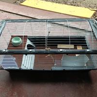 gabbia criceti conigli o x altro