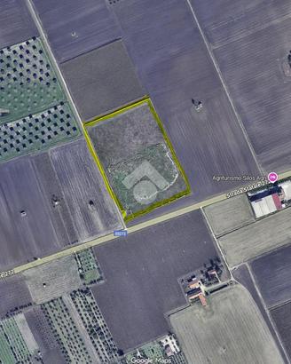 TER. AGRICOLO A SAN SEVERO