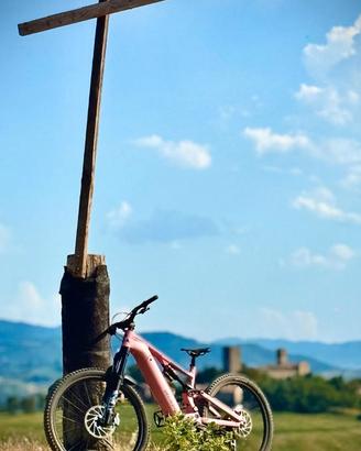 Specialized Turbo levo camp alloy 105nm batt 840