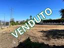 ter-agricolo-a-pozzuoli