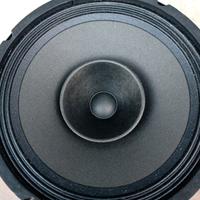 woofer bicono 10' (25 cm) GME per cassa spia