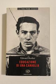 Romanzo “Educazione di una canaglia”