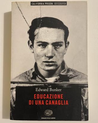 Romanzo “Educazione di una canaglia”