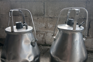 Impianto mungitura + 4 gruppi completi