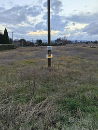 Santa Maria degli Angeli