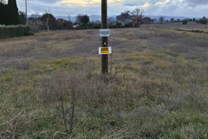 Santa Maria degli Angeli