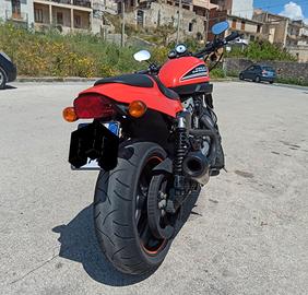 Harley Davidson XR 1200