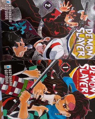 Demon Slayer vol. 1 e vol. 2