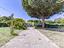 Immagine 23