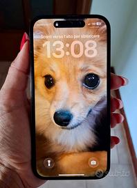 iPhone 14 Pro 256 GB
