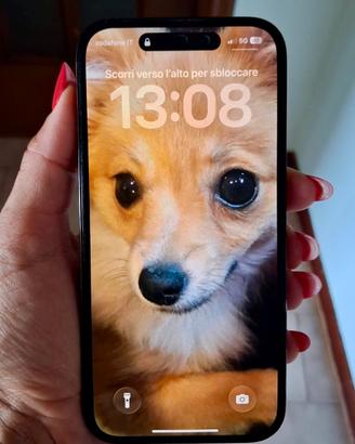 iPhone 14 Pro 256 GB