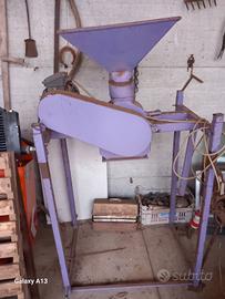 triturarore  nocciole