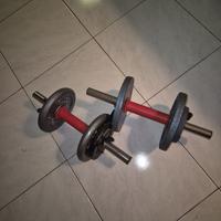 🔥 PALESTRA COMPLETA IN CASA 🔥