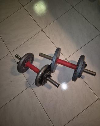 🔥 PALESTRA COMPLETA IN CASA 🔥