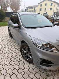 ford kuga 2023