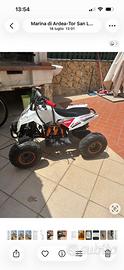 Mini quad  elettrico lem 1000w