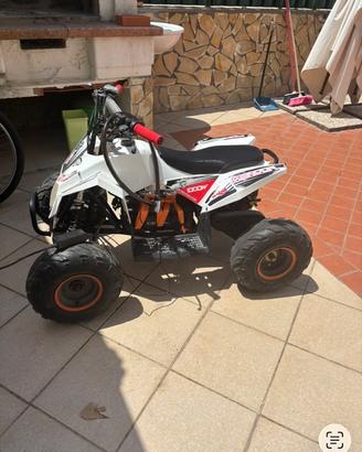 Mini quad  elettrico lem 1000w