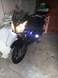 Suzuki DL 650