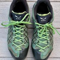 Salewa WildFire Gtx tg. 46