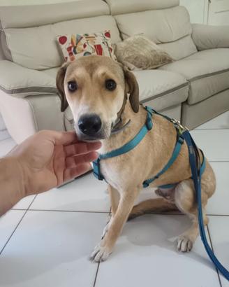 Rory, 2 anni
