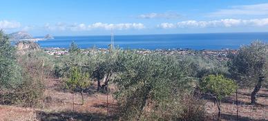Terreno Agricolo