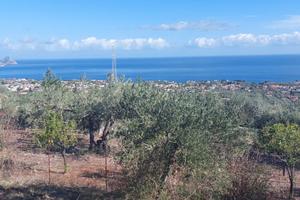 Terreno Agricolo
