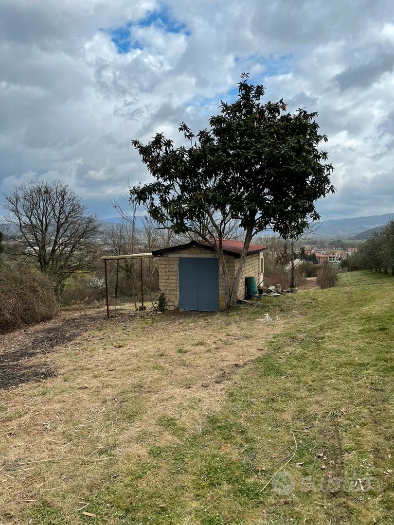 Terreno agricolo - Vista 5