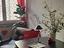 Immagine 6