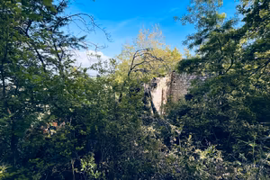 Terreno agricolo con bosco e rudere - Gambatesa