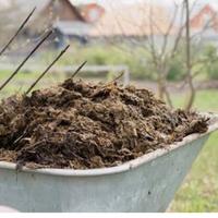 letame cavallo stagionato