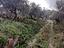 Immagine 9
