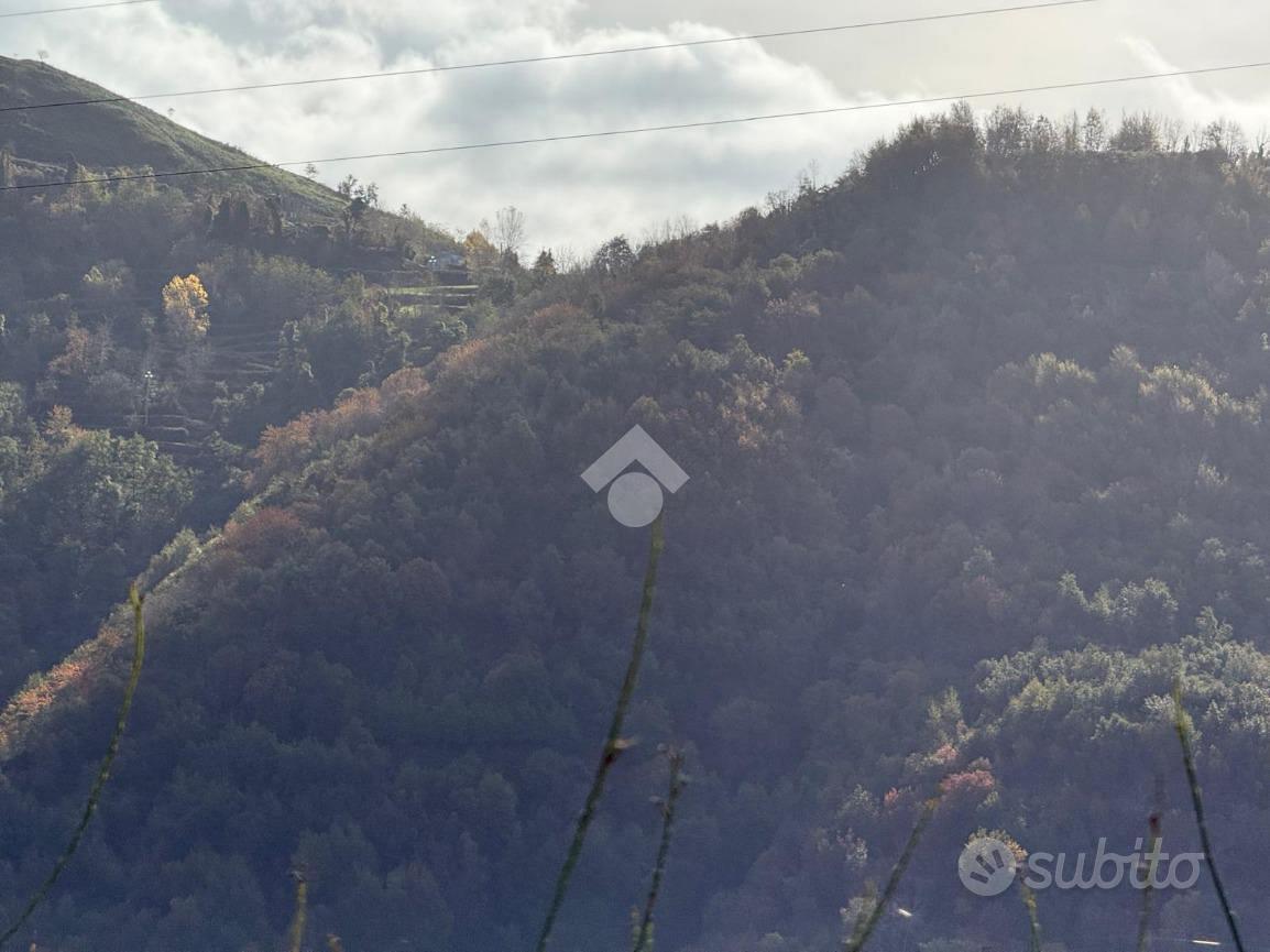 TER. AGRICOLO A FALCONARA ALBANESE - Vista 5