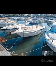 walkaround 26 piedi