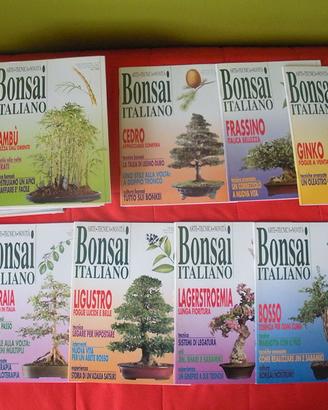 25 riviste Bonsai Italiano dal 1991 al 1996